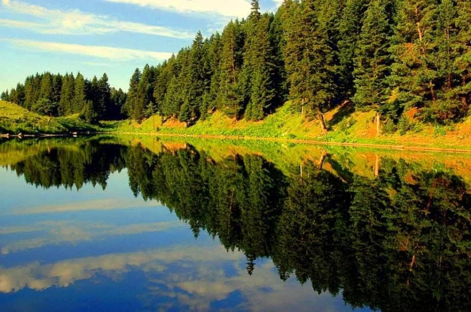 World Environment Day